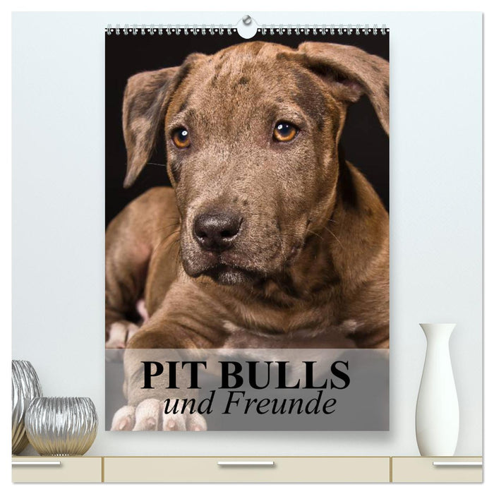 Pit Bulls und Freunde (CALVENDO Premium Wandkalender 2024)