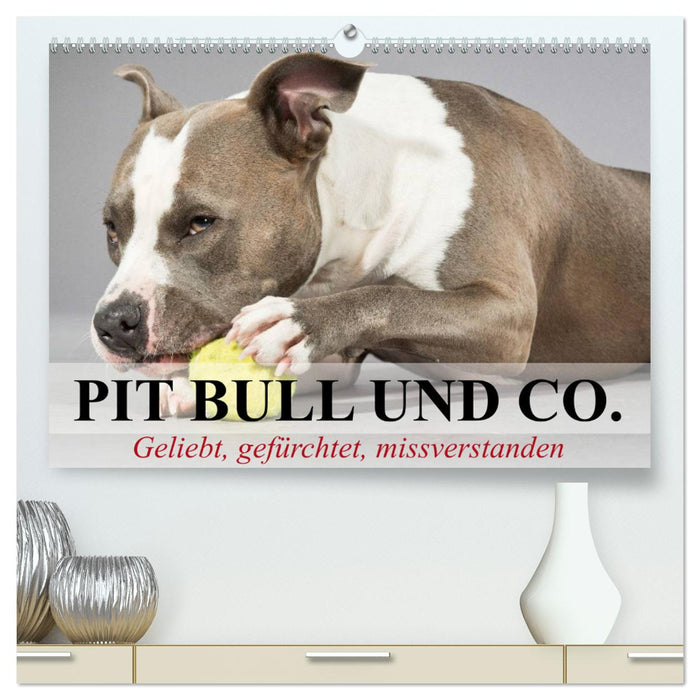 Pit Bull and Co. - Loved, Feared, Misunderstood (CALVENDO Premium Wall Calendar 2024) 