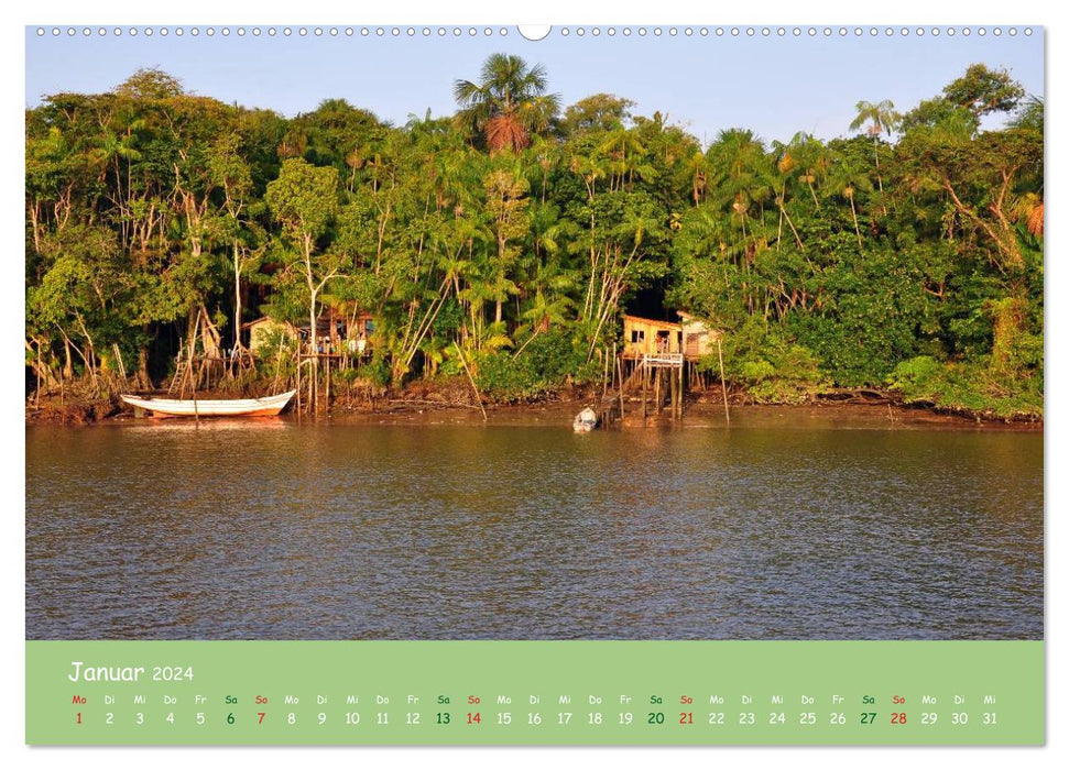 En Amazonie (Calendrier mural CALVENDO Premium 2024) 