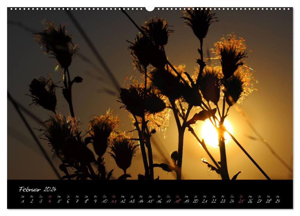 Zeit der Natur - Ein Augenblick zur Ewigkeit (CALVENDO Premium Wandkalender 2024)