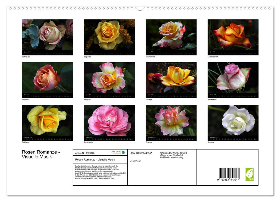 Rose Romance – Musique visuelle (Calvendo Premium Calendrier mural 2024) 