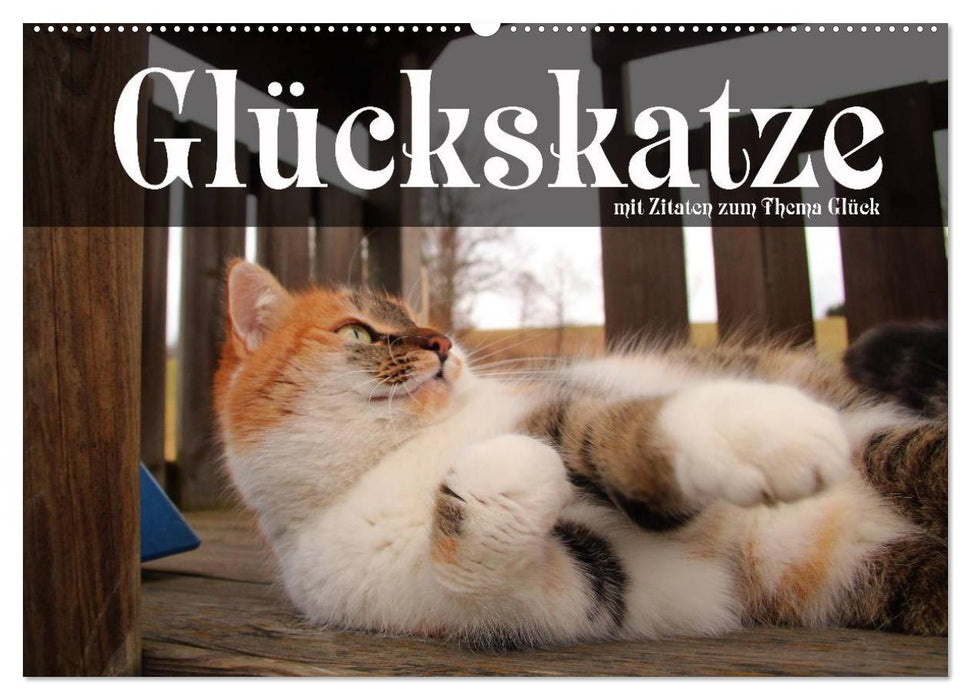 Glückskatze - Mit Zitaten zum Thema Glück (CALVENDO Wandkalender 2024)