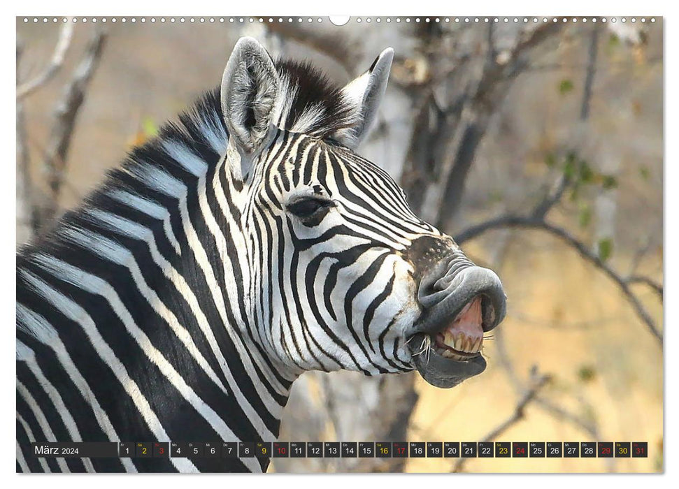 Wildlife paradise Africa - A photo journey through the savannahs (CALVENDO wall calendar 2024) 