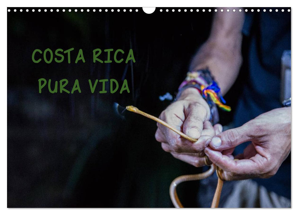 COSTA RICA - PURA VIDA (CALVENDO Wandkalender 2024)