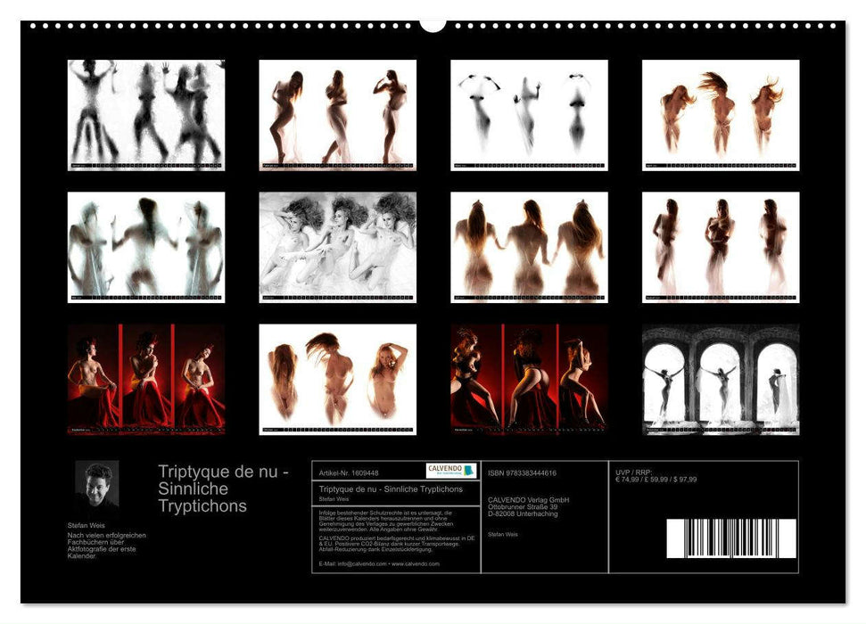 Triptyque de nu - Sinnliche Tryptichons (CALVENDO Premium Wandkalender 2024)