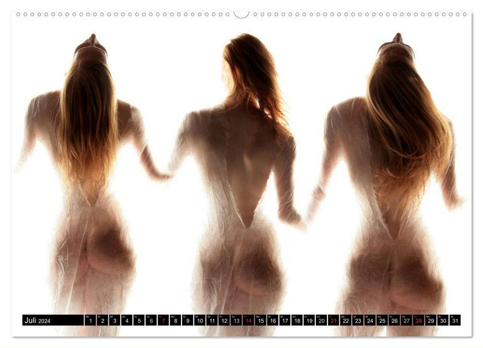 Triptyque de nu - Sinnliche Tryptichons (CALVENDO Premium Wandkalender 2024)