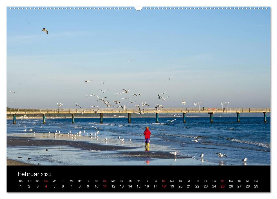 Meer und Küste (CALVENDO Wandkalender 2024)