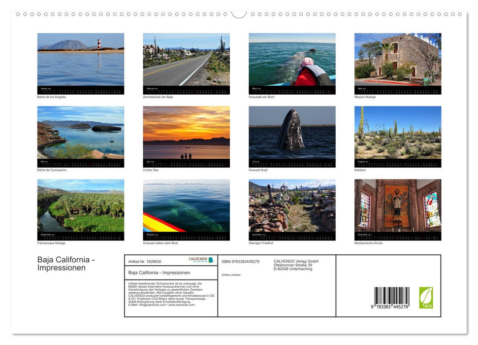Baja California - Impressions of the Mexican Peninsula (CALVENDO Premium Wall Calendar 2024) 