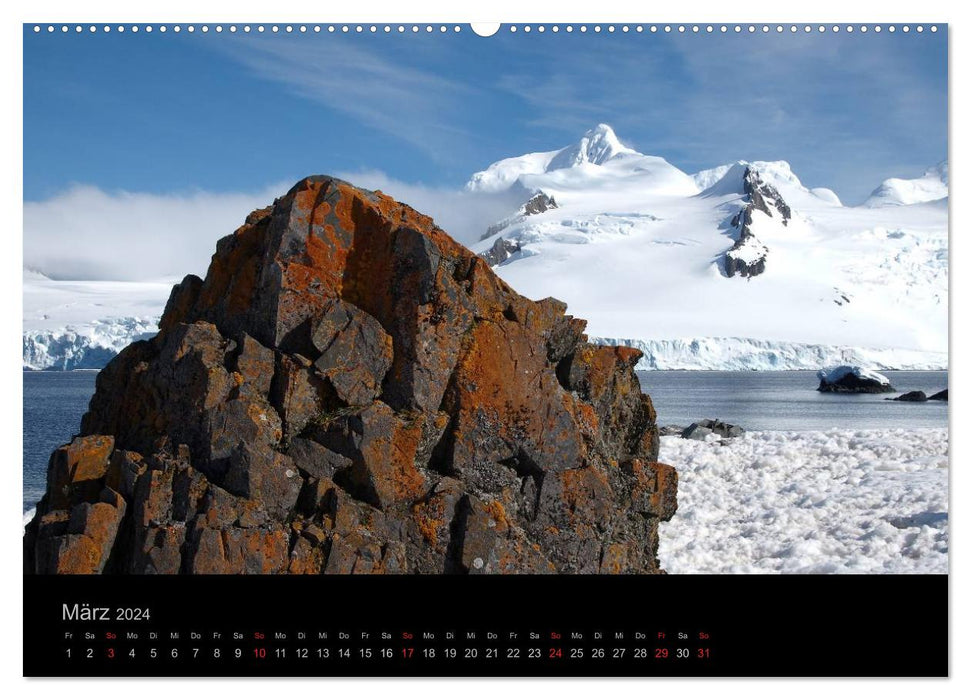 Antarktische Impressionen (CALVENDO Premium Wandkalender 2024)