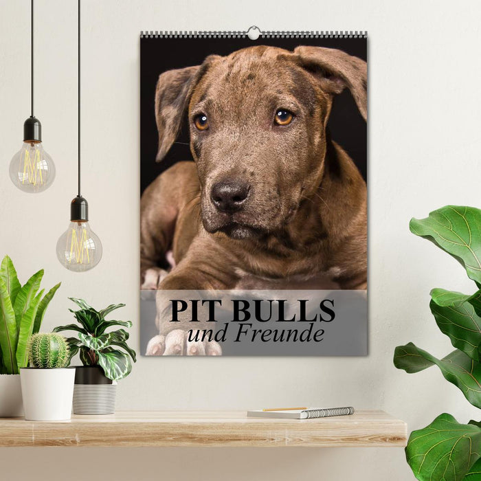 Pit Bulls und Freunde (CALVENDO Wandkalender 2024)