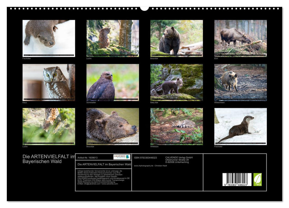 SPECIES DIVERSITY from the Bavarian Forest (CALVENDO Premium Wall Calendar 2024) 