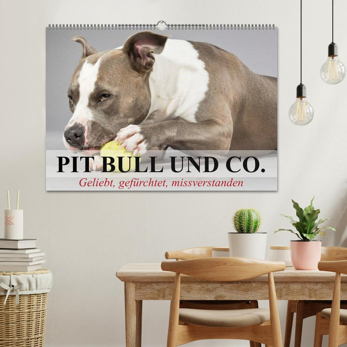 Pit Bull and Co. - Loved, feared, misunderstood (CALVENDO wall calendar 2024) 
