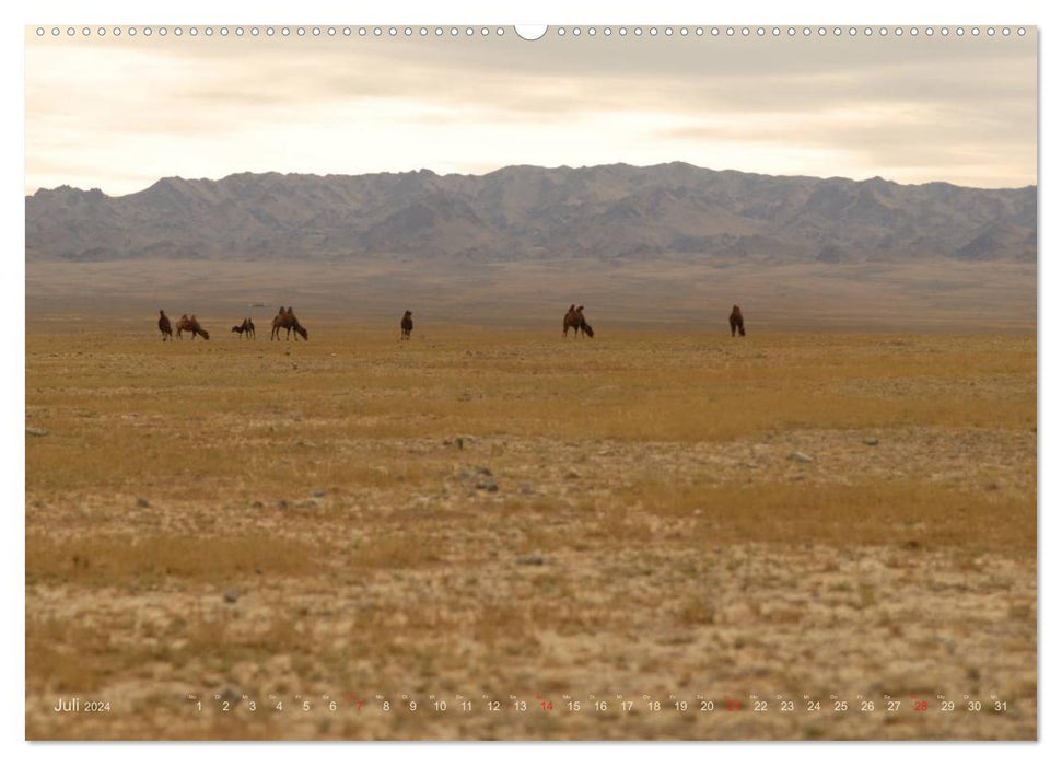 Wüste Gobi (CALVENDO Premium Wandkalender 2024)