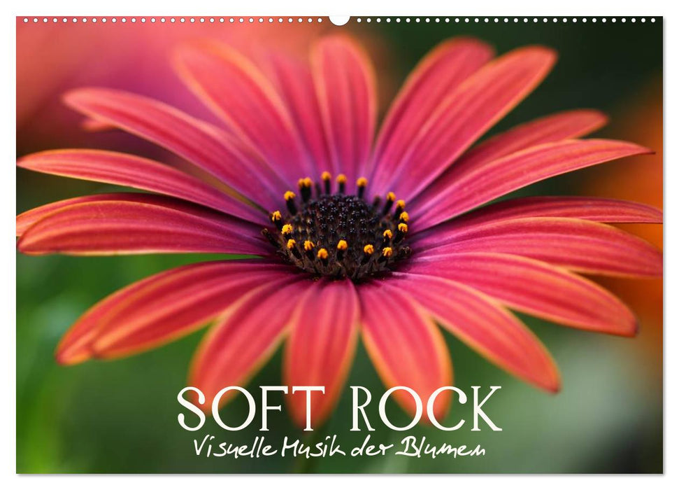 Soft Rock - Visuelle Musik der Blumen (CALVENDO Wandkalender 2024)