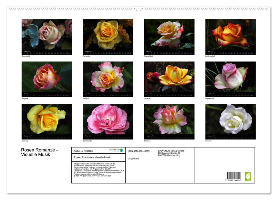 Rose Romance - Visual Music (CALVENDO Wall Calendar 2024) 