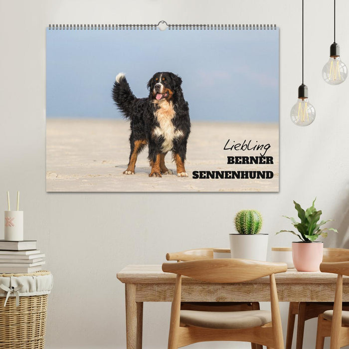 Darling BERNER MOUNTAIN HUND (CALVENDO wall calendar 2024) 