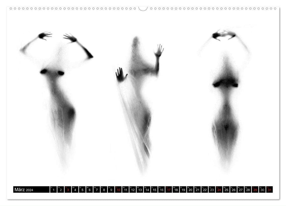 Triptyque de nu - Sensual Tryptichons (CALVENDO Wall Calendar 2024) 