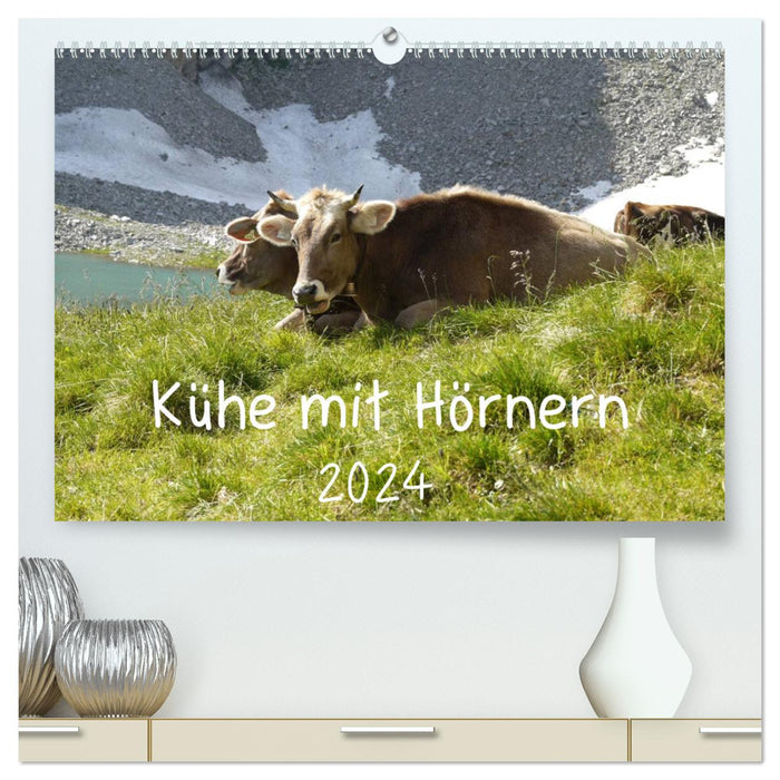 Cows with horns (CALVENDO Premium Wall Calendar 2024) 