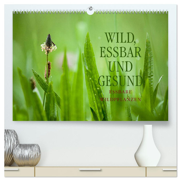WILD, ESSBAR UND GESUND Essbare Wildpflanzen (CALVENDO Premium Wandkalender 2024)