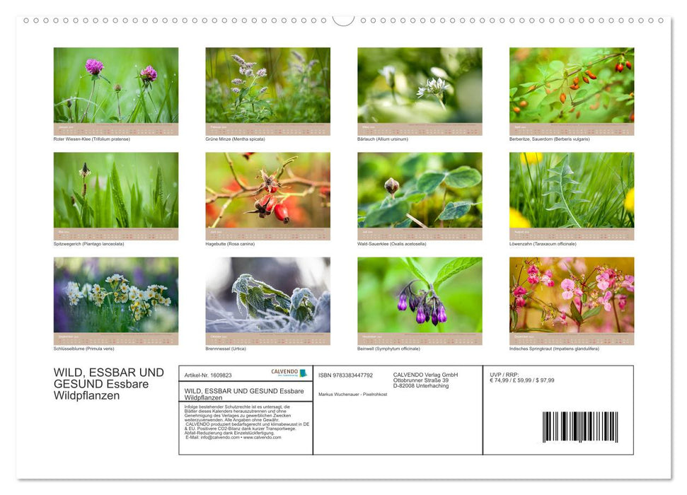 WILD, EDIBLE AND HEALTHY Edible wild plants (CALVENDO Premium Wall Calendar 2024) 