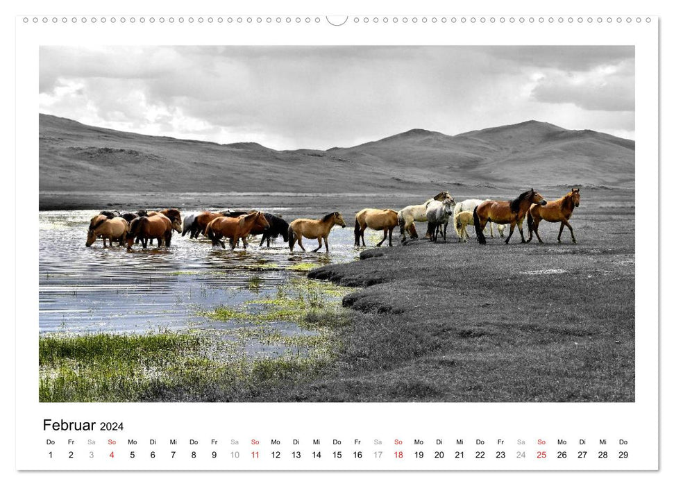 Mongolei – Mit anderen Augen (CALVENDO Premium Wandkalender 2024)