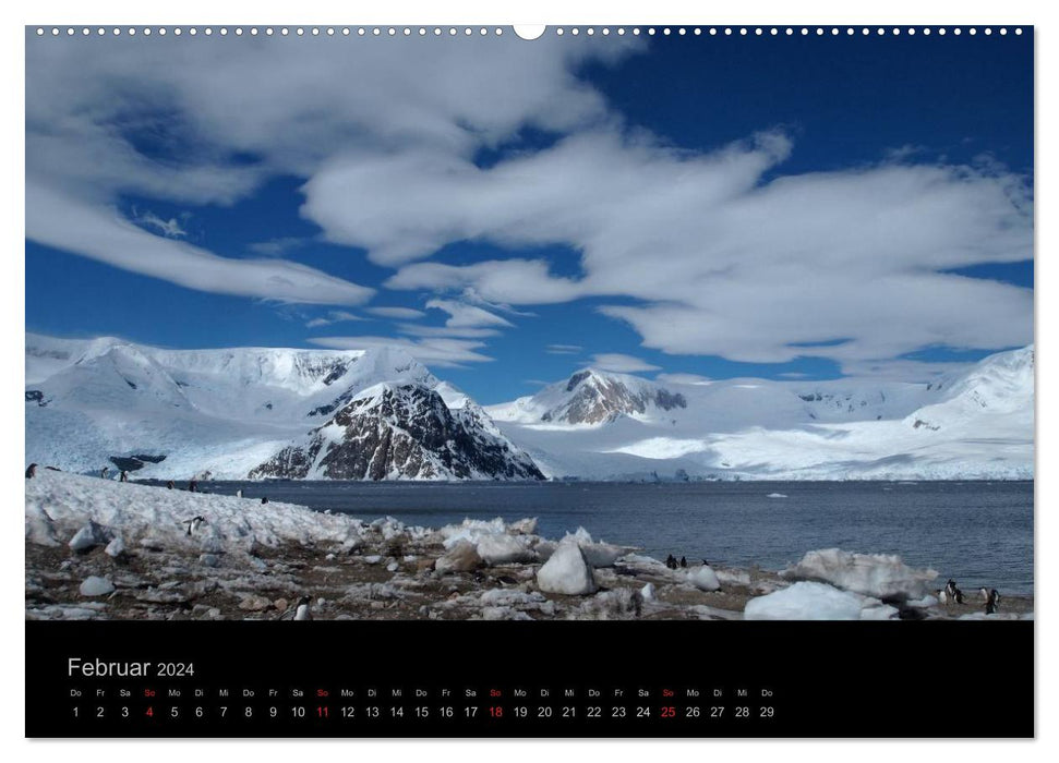 Antarktische Impressionen (CALVENDO Wandkalender 2024)