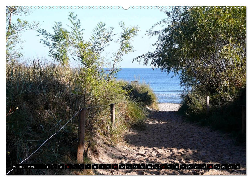 USEDOM - seaside resorts and natural paradise (CALVENDO Premium Wall Calendar 2024) 