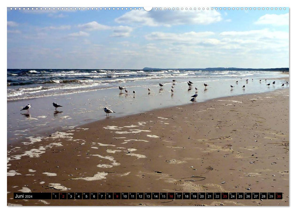 USEDOM - seaside resorts and natural paradise (CALVENDO Premium Wall Calendar 2024) 