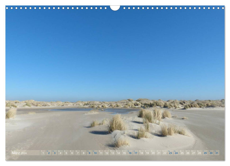 Texel. Neue Dünen (CALVENDO Wandkalender 2024)