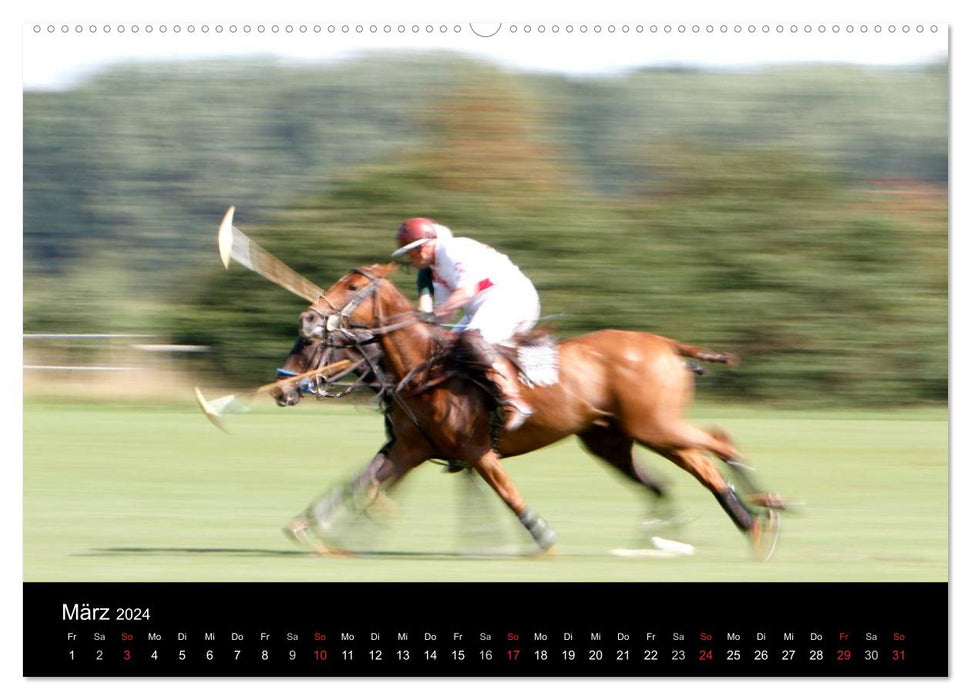 Polo Horses + Promotion 2024 (CALVENDO Premium Wall Calendar 2024) 