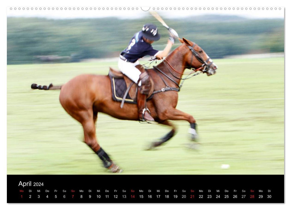 Polo Pferde + Aktion 2024 (CALVENDO Premium Wandkalender 2024)