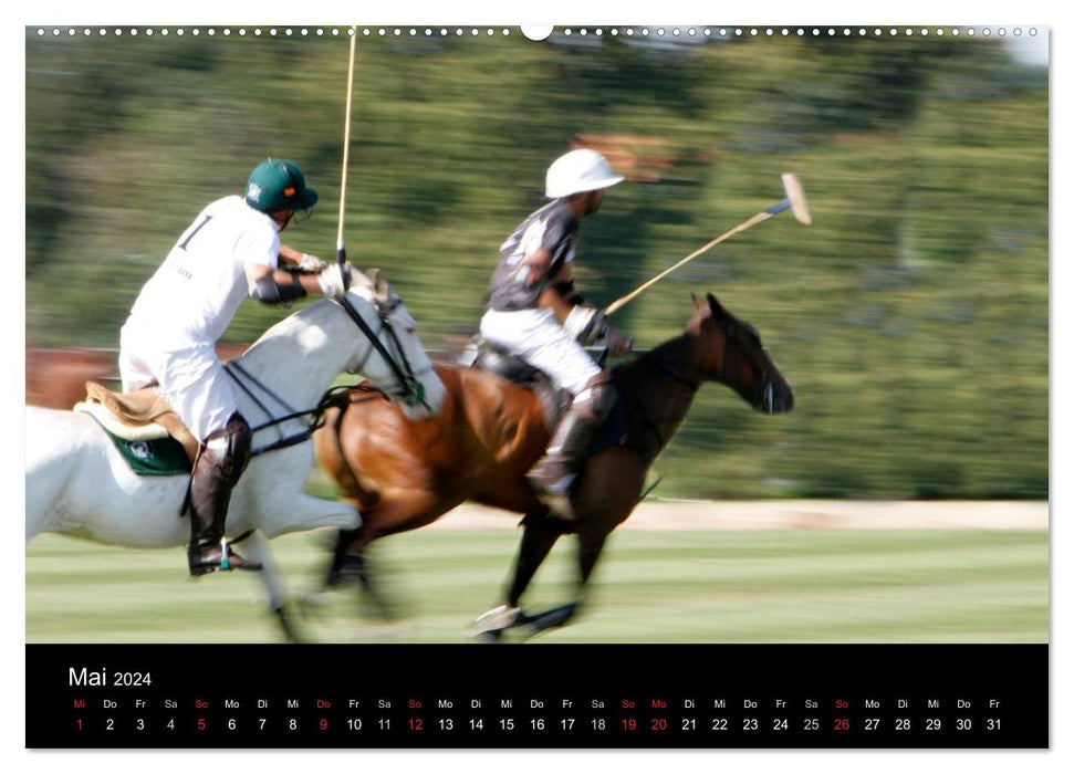 Polo Pferde + Aktion 2024 (CALVENDO Premium Wandkalender 2024)