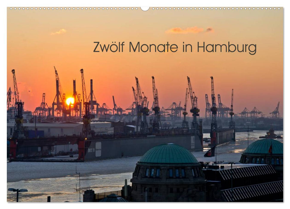 Zwölf Monate in Hamburg (CALVENDO Wandkalender 2024)