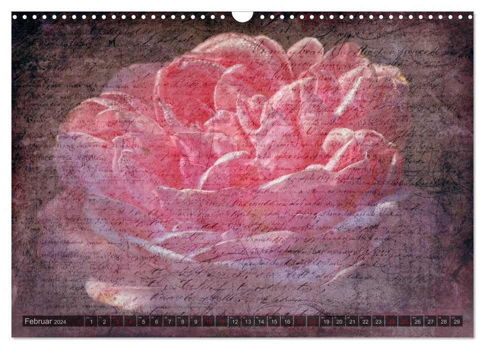 Gothic Rose - Rosen aus dem Garten der Finsternis (CALVENDO Wandkalender 2024)