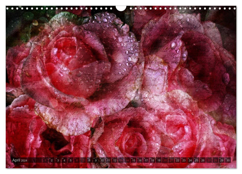Gothic Rose - Roses from the Garden of Darkness (CALVENDO Wall Calendar 2024) 