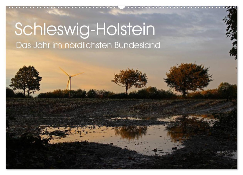 Schleswig-Holstein (CALVENDO Wandkalender 2024)