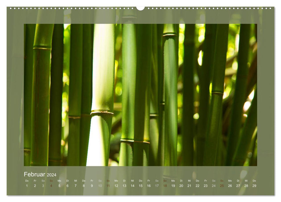 Bambus (CALVENDO Wandkalender 2024)