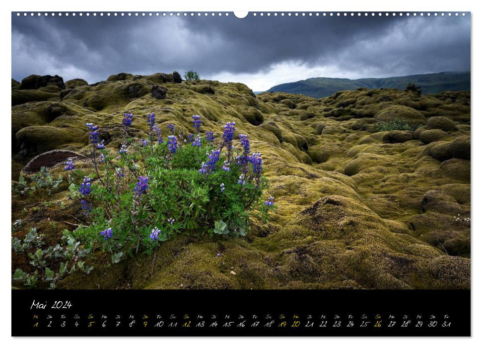 ICELAND - dream landscapes (CALVENDO Premium Wall Calendar 2024) 