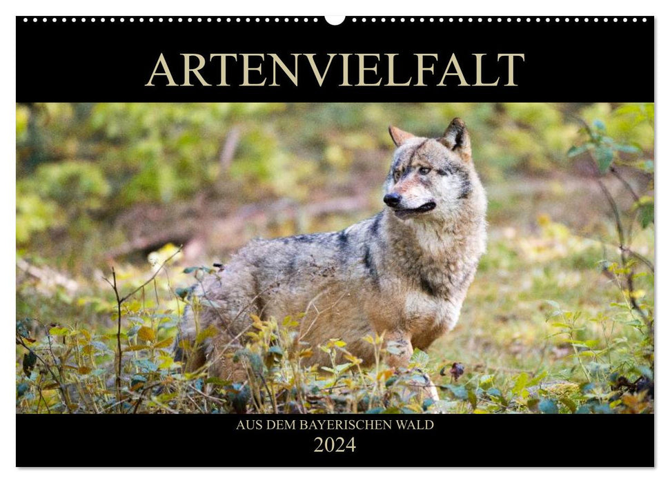 SPECIES DIVERSITY from the Bavarian Forest (CALVENDO wall calendar 2024) 