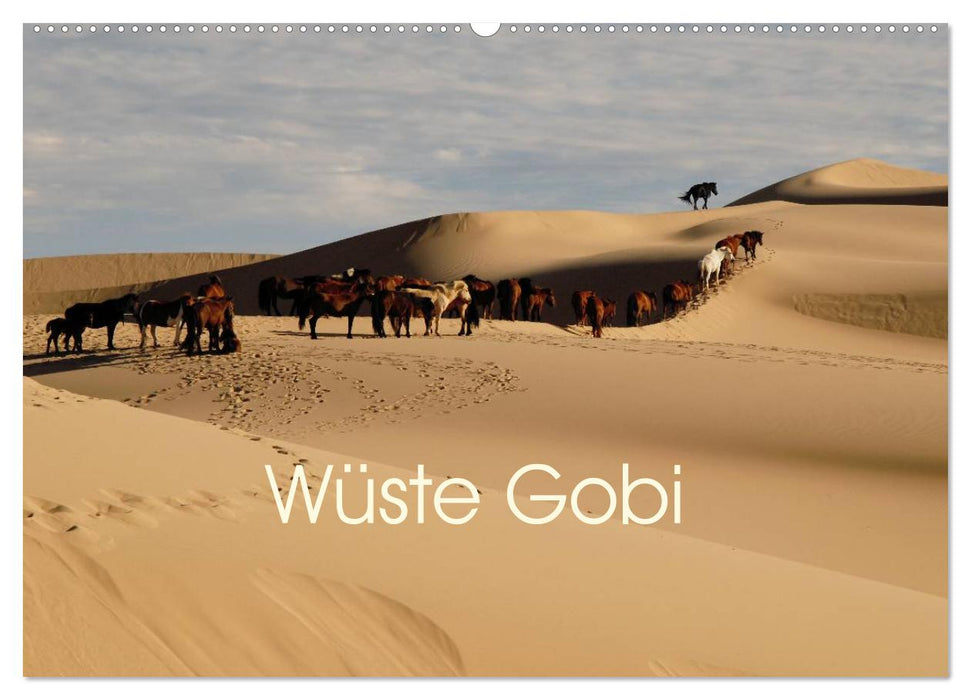 Wüste Gobi (CALVENDO Wandkalender 2024)