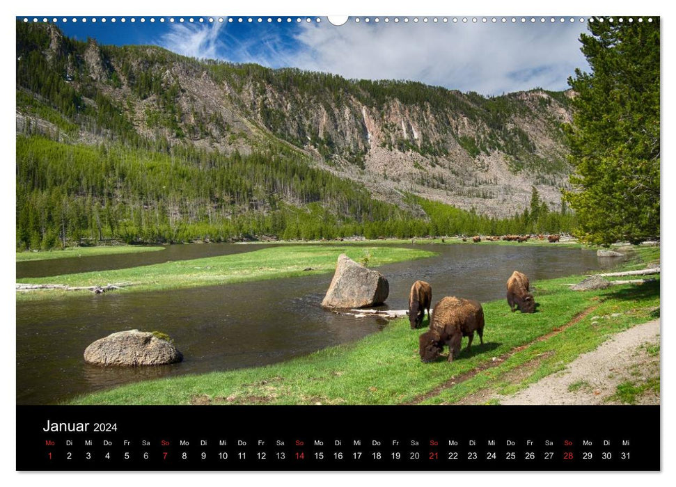 Dream destinations in the USA. Yellowstone National Park (CALVENDO Premium Wall Calendar 2024) 