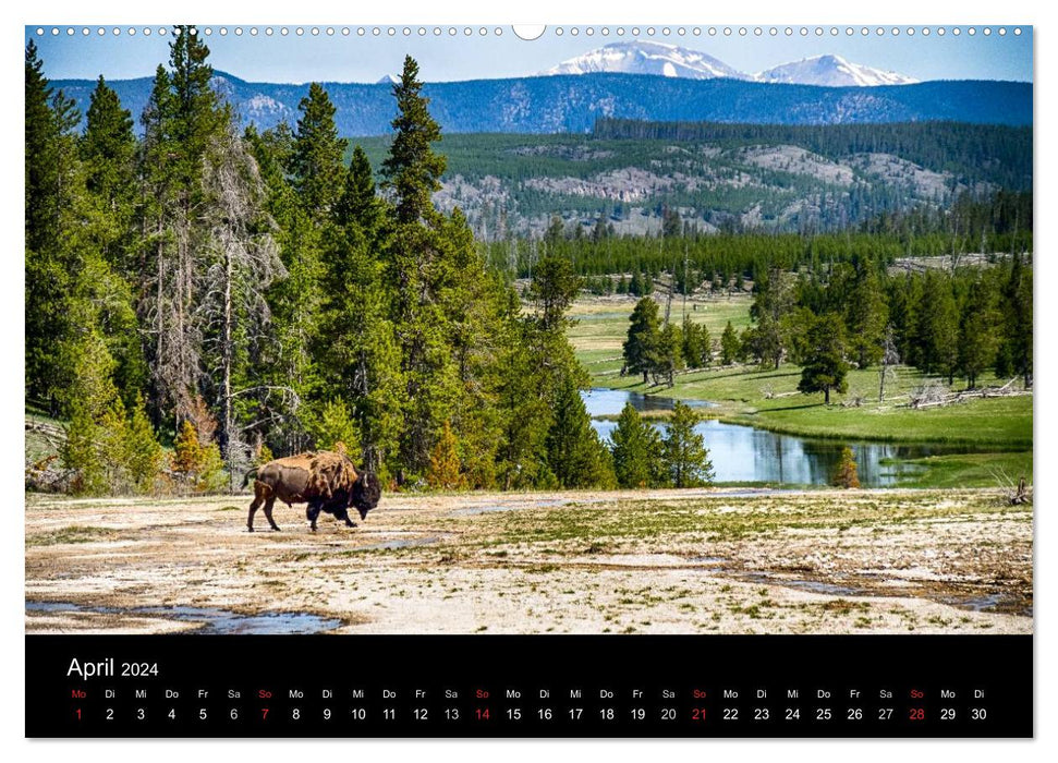 Dream destinations in the USA. Yellowstone National Park (CALVENDO Premium Wall Calendar 2024) 