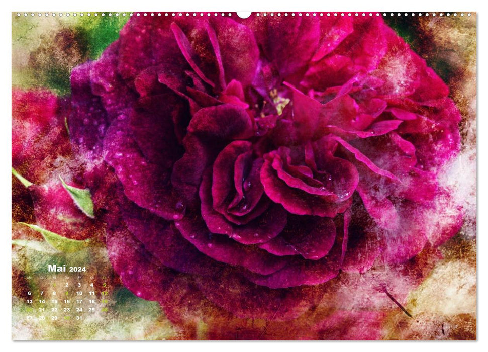 Rosen Romantik (CALVENDO Premium Wandkalender 2024)