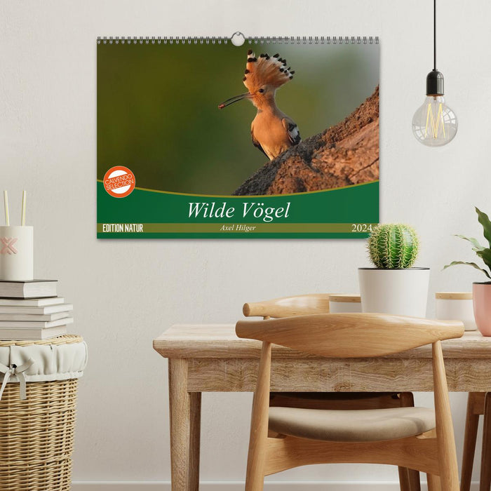 Wilde Vögel (CALVENDO Wandkalender 2024)