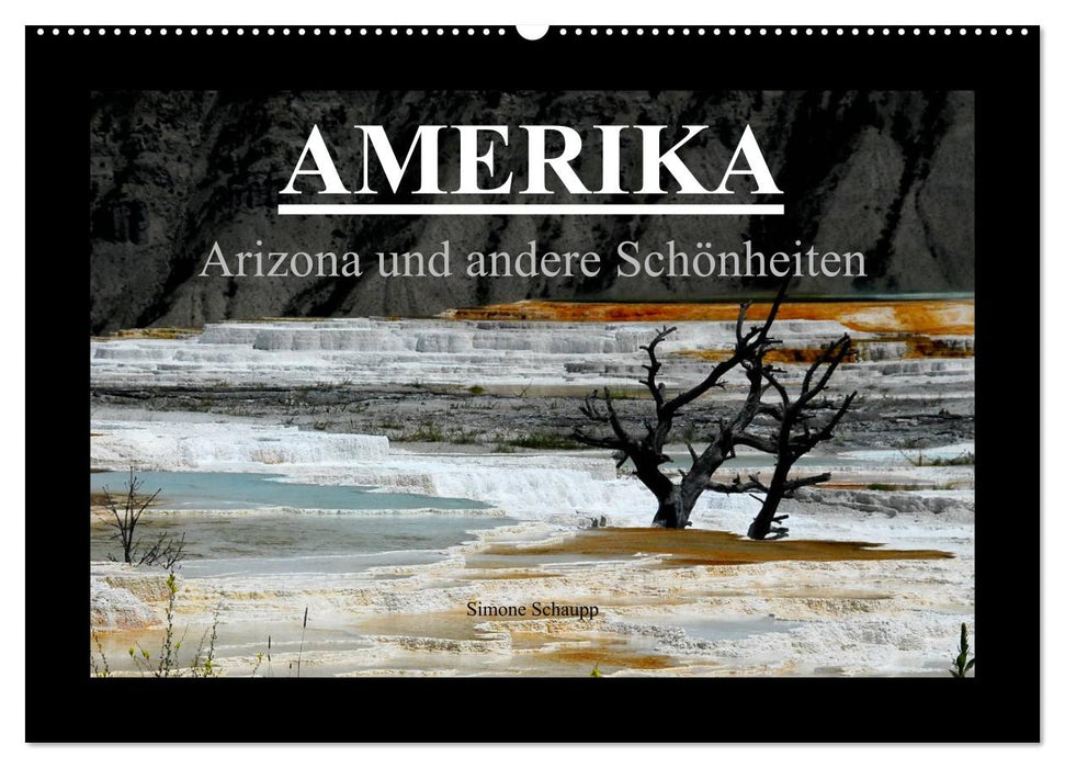 America - Arizona and other beauties (CALVENDO wall calendar 2024) 