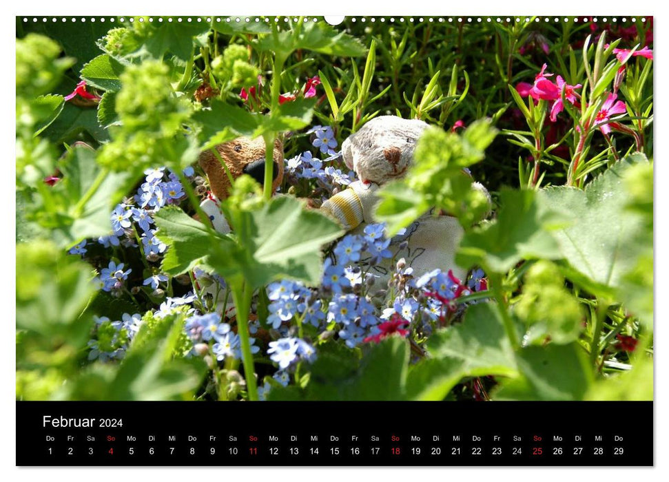 The bear calendar 2024 (CALVENDO Premium wall calendar 2024) 