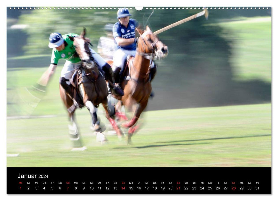 Polo Pferde + Aktion 2024 (CALVENDO Wandkalender 2024)