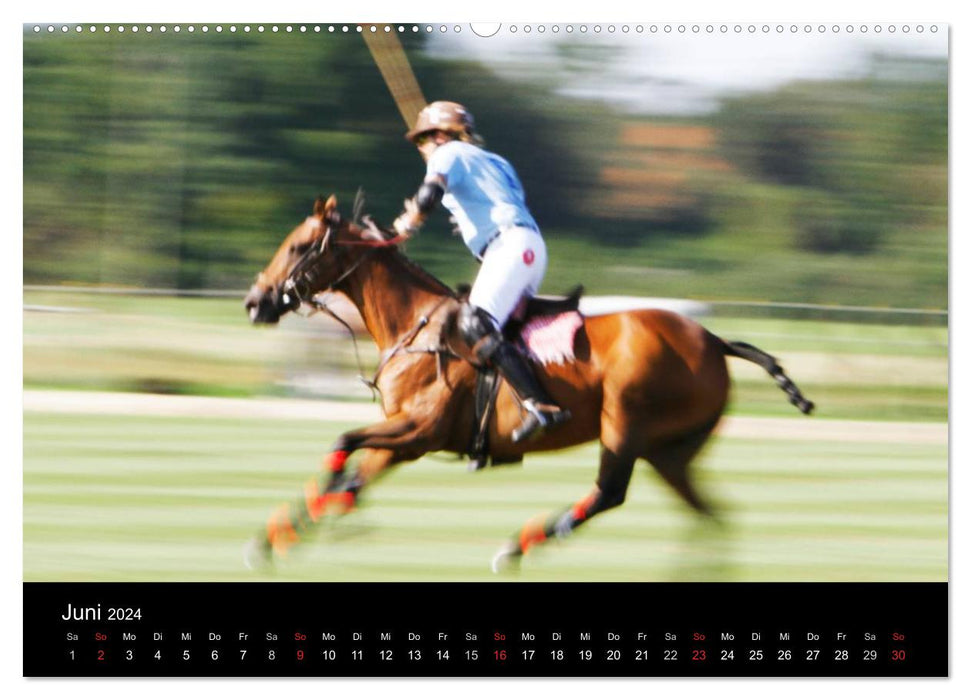Polo Pferde + Aktion 2024 (CALVENDO Wandkalender 2024)