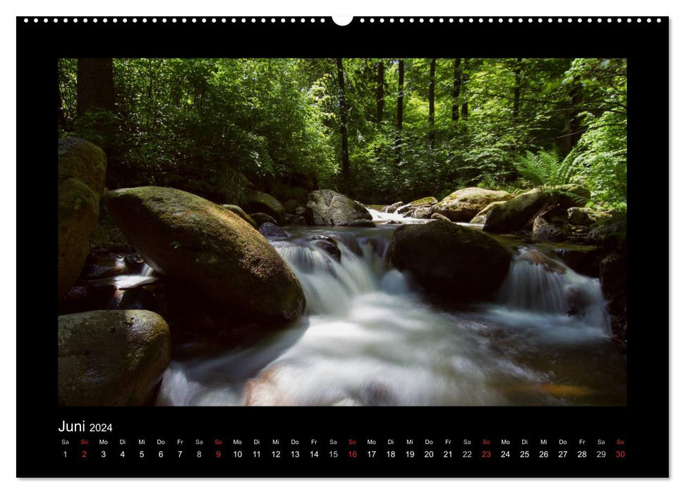 Wild and romantic water worlds in the Harz Mountains (CALVENDO Premium Wall Calendar 2024) 