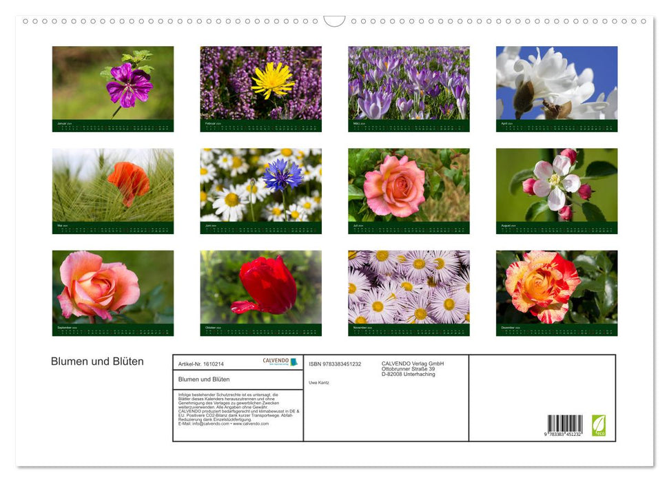 Blumen und Blüten (CALVENDO Wandkalender 2024)